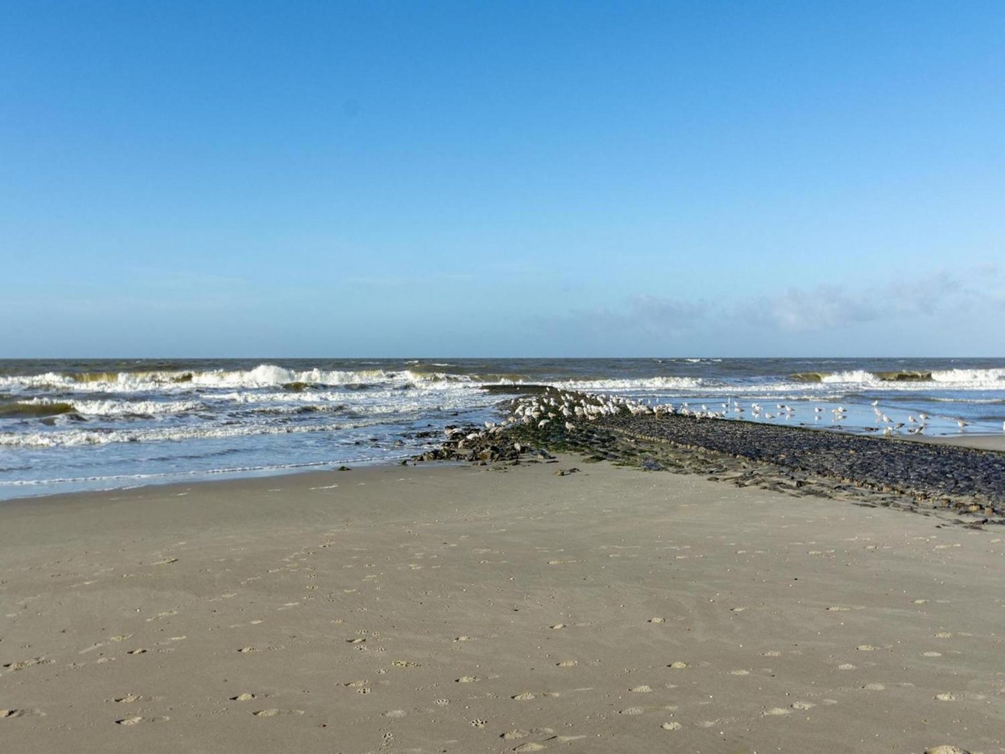 Wijde Blick appartement 309 - Callantsoog Buitenkant foto
